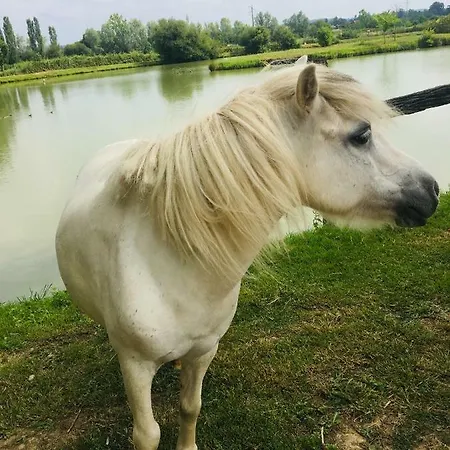 Hébergement de vacances Domaine Du Vieux Chêne *
