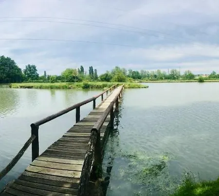 Domaine Du Vieux Chêne